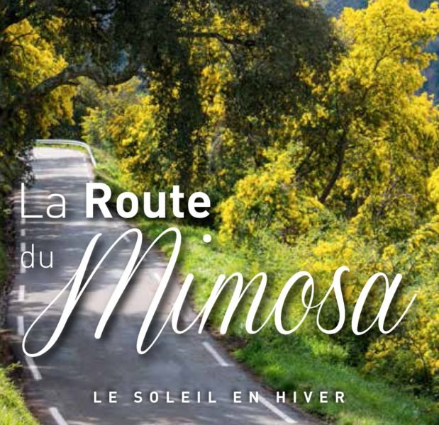 Εξυπνος τουρισμός: Οι Γάλλοι εφηύραν τον δρόμο της μιμόζας, στην Κυανή Ακτή [εικόνες] | iefimerida.gr 11