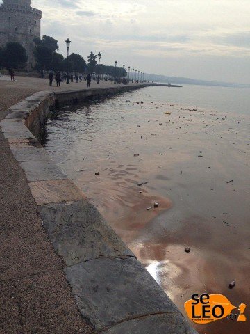 Κοκκίνισαν τα νερά του Θερμαϊκού -Τι είναι η ερυθρά παλίρροια [εικόνες] | iefimerida.gr 0