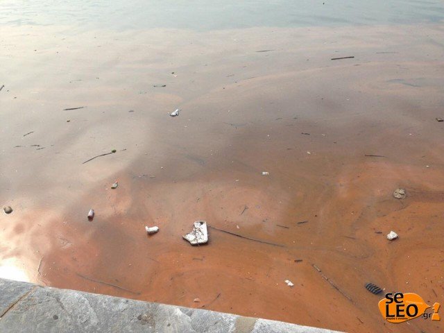 Κοκκίνισαν τα νερά του Θερμαϊκού -Τι είναι η ερυθρά παλίρροια [εικόνες] | iefimerida.gr 2