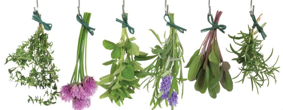 Δύο Ελληνες στους Ερευνητές με τη Μεγαλύτερη Διεθνή Επιρροή – Προωθούν τα ελληνικά βότανα [εικόνες]  | iefimerida.gr 8