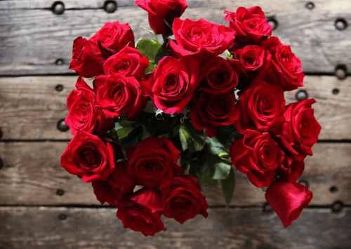 Τα λουλούδια του Αγίου Βαλεντίνου -Τι συμβολίζει το καθένα [εικόνες] | iefimerida.gr 0