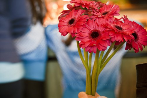 Τα λουλούδια του Αγίου Βαλεντίνου -Τι συμβολίζει το καθένα [εικόνες] | iefimerida.gr 1