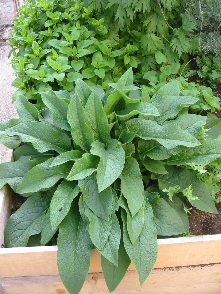 Πώς θα γίνουμε αυτάρκεις: Οικολογικά, εργαστήρια, μουσική, παιδικές δράσεις - Στην Τεχνόπολη [εικόνες & βίντεο]  | iefimerida.gr 8