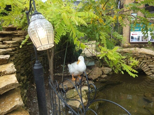 Το νησί που κάνει τα παραμύθια πραγματικότητα -Στο Kyushu της Ιαπωνίας [εικόνες] | iefimerida.gr 7