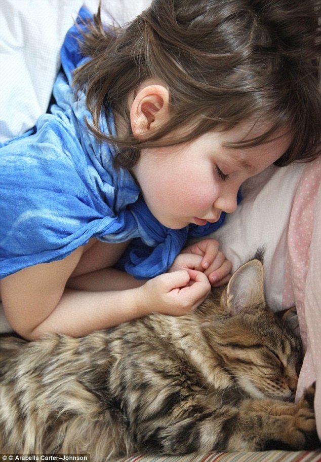 Πώς μια γάτα Μέιν Κουν βοήθησε ένα 6χρονο κορίτσι με αυτισμό να μιλήσει [εικόνες] | iefimerida.gr 4