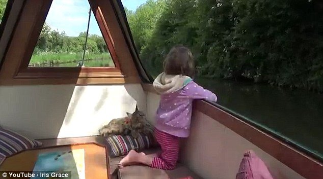 Πώς μια γάτα Μέιν Κουν βοήθησε ένα 6χρονο κορίτσι με αυτισμό να μιλήσει [εικόνες] | iefimerida.gr 7