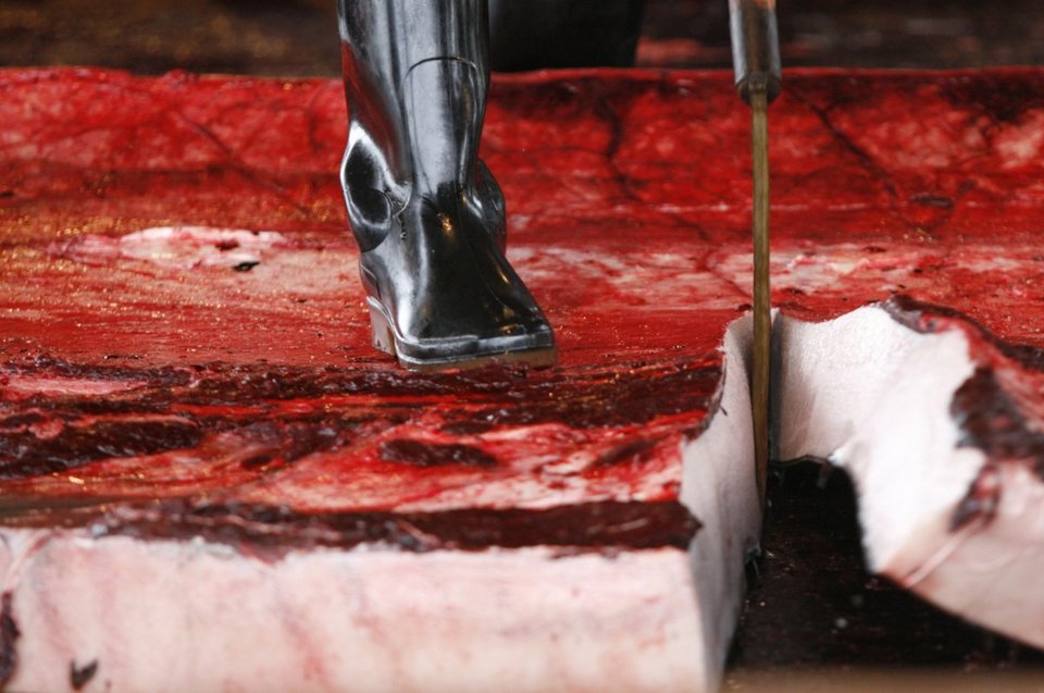 Γιατί οι Ιάπωνες σκοτώνουν ακατάπαυστα φάλαινες, αψηφώντας ΟΗΕ και Διεθνή Δικαστήρια [εικόνες] | iefimerida.gr 5