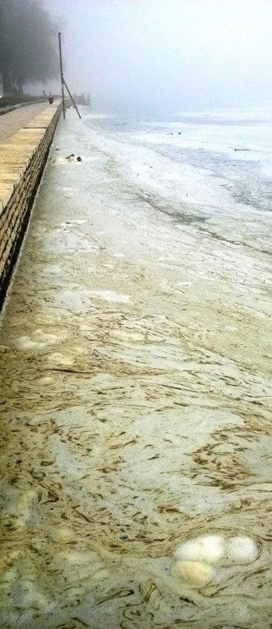 «Αφρισε» η λίμνη Παμβώτιδα στα Ιωάννινα από τη ρύπανση [εικόνες & βίντεο] | iefimerida.gr 2