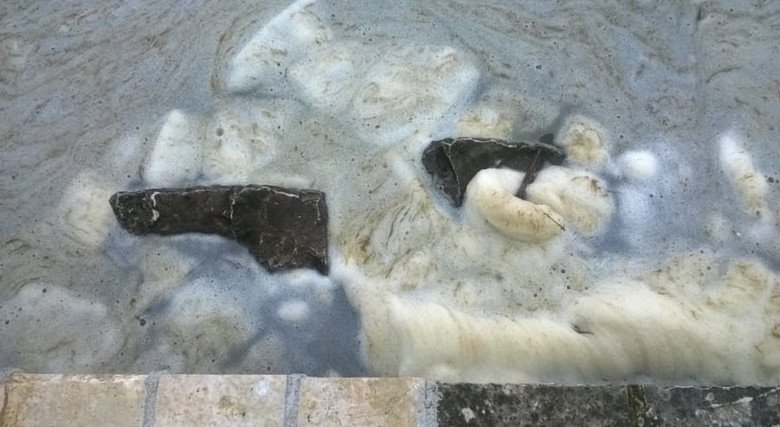 «Αφρισε» η λίμνη Παμβώτιδα στα Ιωάννινα από τη ρύπανση [εικόνες & βίντεο] | iefimerida.gr 3