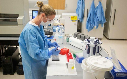 Μανιφέστο της UNESCO: Για την ισοτιμία μεταξύ γυναικών και ανδρών στην επιστήμη [εικόνες]     | iefimerida.gr 3