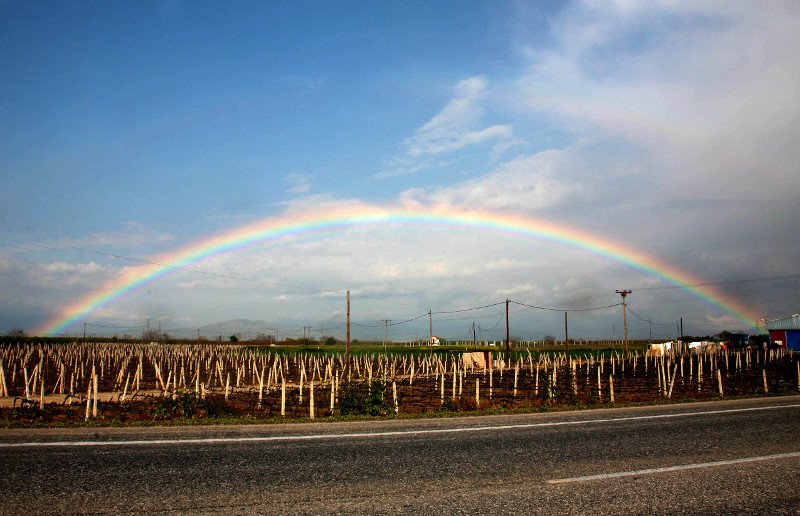 Εσπασε το φράγμα Σπαρμού στον Ολυμπο -Καταστράφηκαν καλλιέργειες, το νερό ξήλωσε και δρόμους [εικόνες] | iefimerida.gr 5