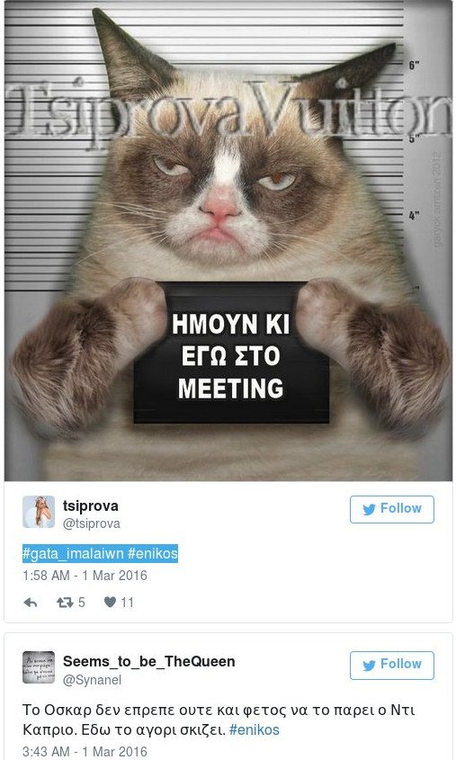 Τσίπρας: «Εγώ έσκισα τη γάτα, πάει αυτό, τελείωσε» -Το Twitter γλεντάει με τη γάτα Ιμαλαΐων [εικόνες] | iefimerida.gr 0