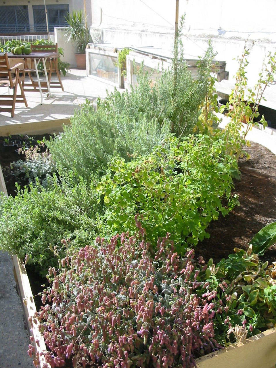 Πώς θα γίνουμε αυτάρκεις: Οικολογικά, εργαστήρια, μουσική, παιδικές δράσεις - Στην Τεχνόπολη [εικόνες & βίντεο]  | iefimerida.gr 3