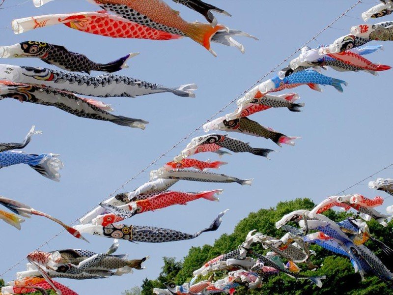 Οταν αμολούν καλούμπα σε άλλα μέρη της Γης -Το έθιμο του χαρταετού [εικόνες] | iefimerida.gr 9