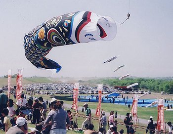 Οταν αμολούν καλούμπα σε άλλα μέρη της Γης -Το έθιμο του χαρταετού [εικόνες] | iefimerida.gr 8