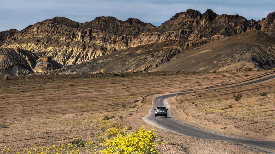 Η Κοιλάδα του Θανάτου άνθισε -Το σπάνιο φαινόμενο που συμβαίνει κάθε 10 χρόνια [εικόνες] | iefimerida.gr 7