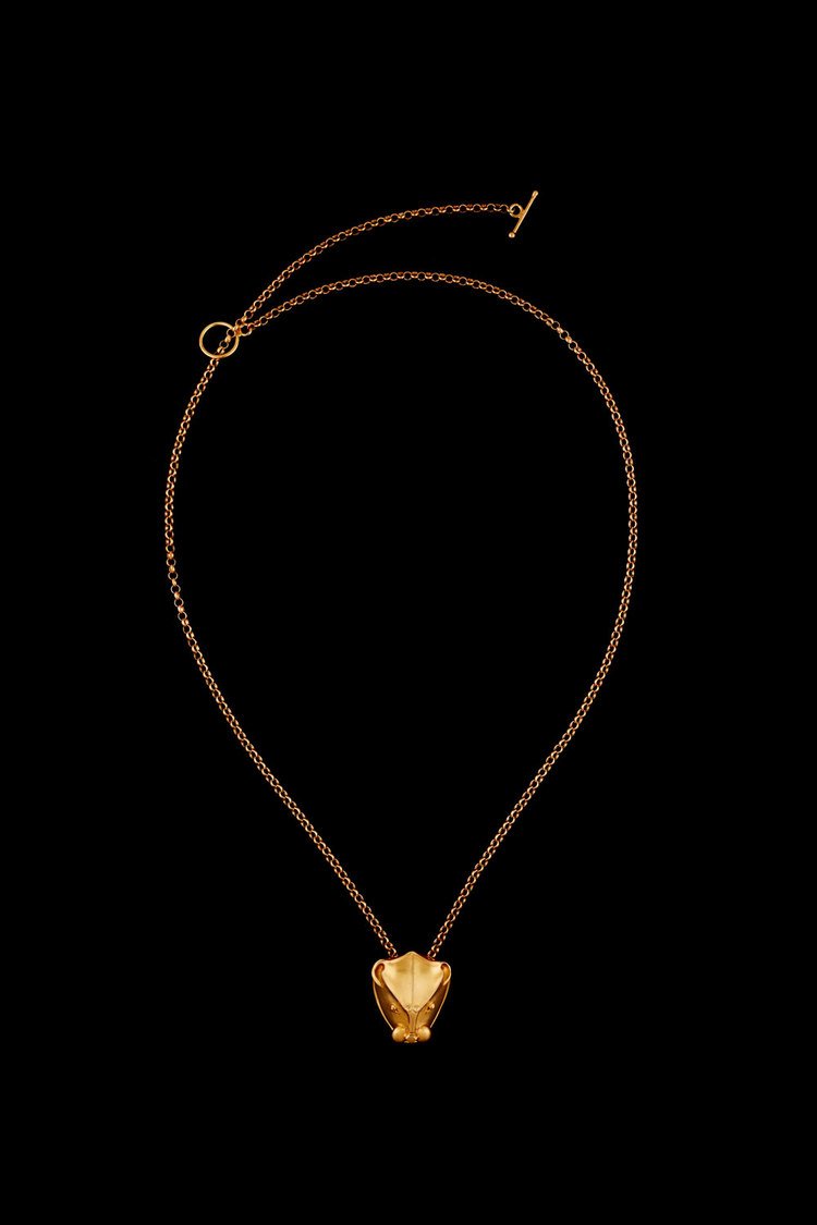 Σοφία Κοκοσαλάκη, η σχεδιάστρια που έκανε μόδα το αρχαιοελληνικό στιλ -Τώρα φτιάχνει και κοσμήματα [εικόνες] | iefimerida.gr 5