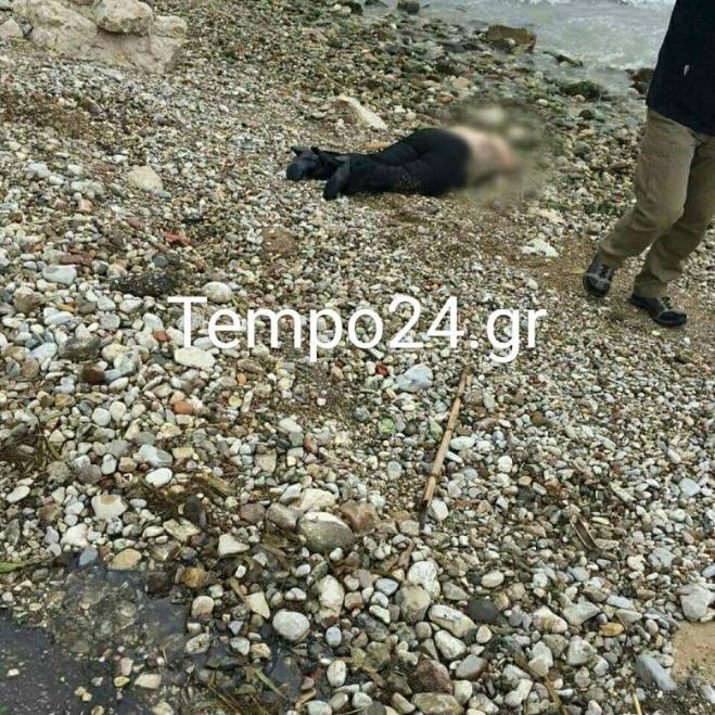  Θάνατος-μυστήριο γυναίκας στην Πάτρα: Στοιχεία ταυτότητας και αίτια θανάτου παραμένουν άγνωστα [εικόνες] | iefimerida.gr 1