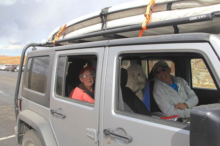 Μάθημα ζωής: Καρκινοπαθής 90 ετών είπε «όχι» στις χημειοθεραπείες και ξεκίνησε να ταξιδεύει [εικόνες]  | iefimerida.gr 5