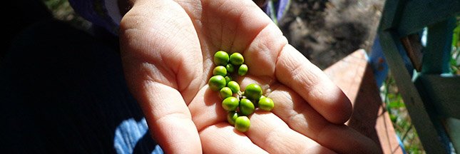 Μάρτιος, ο καλύτερος μήνας για κηπουρική [εικόνες] | iefimerida.gr 4