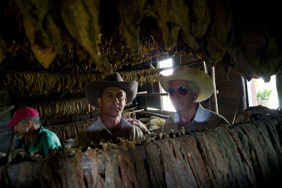 Πώς φτιάχνεται το αυθεντικό κουβανέζικο πούρο [εικόνες & βίντεο] | iefimerida.gr 8