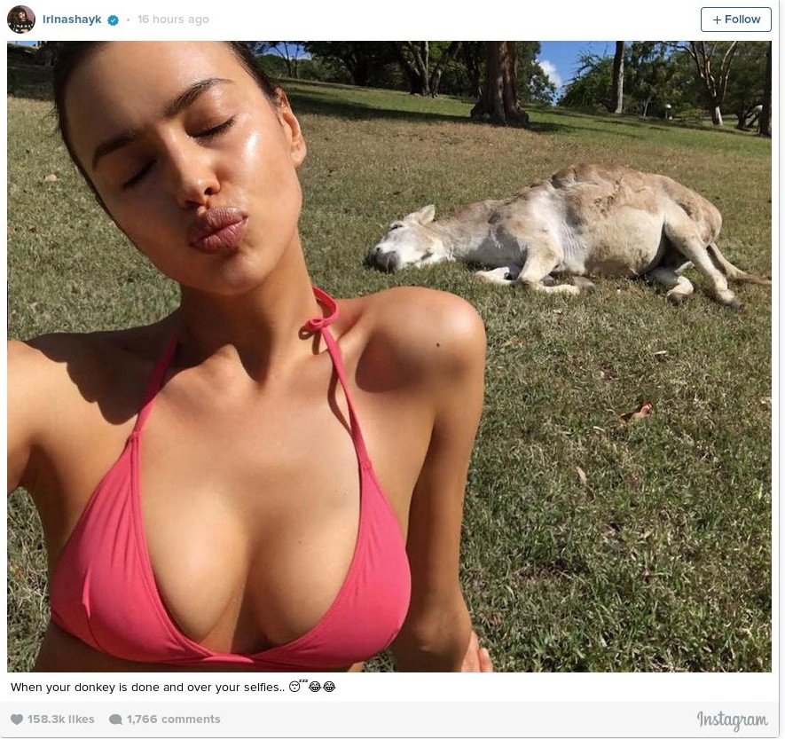 Η Ιρίνα Σάικ ποζάρει προκλητικά δίπλα σε έναν γάιδαρο [εικόνες] | iefimerida.gr 1