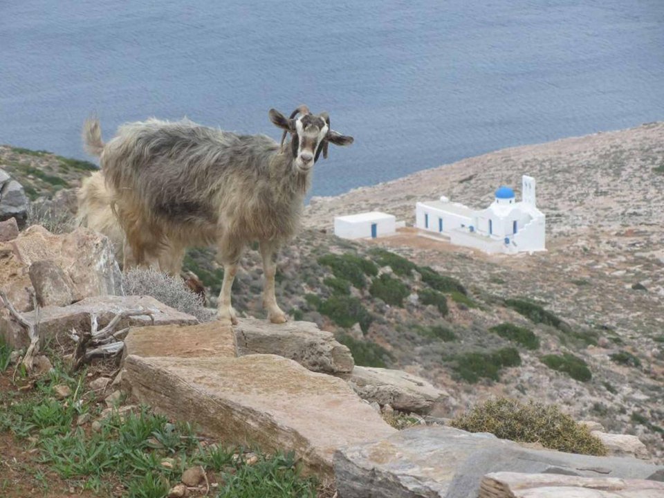 Δημοσιογράφος του Independent καταχείμωνο στη Σίφνο -Αποθεώνει το νησί όπου γεννήθηκε η ελληνική κουζίνα | iefimerida.gr 1
