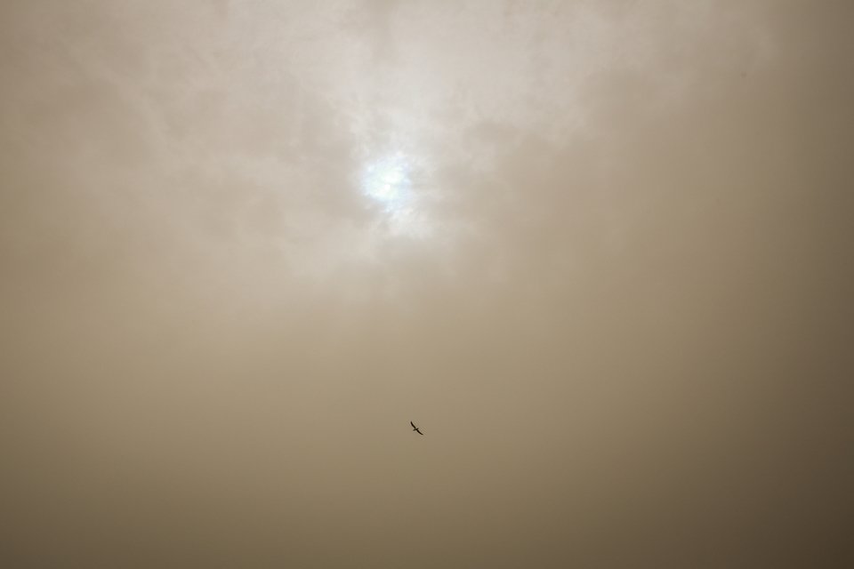 Ενα κίτρινο χαλί πάνω από την Αθήνα -Η αφρικανική σκόνη «σκέπασε» και την Ακρόπολη [εικόνες] | iefimerida.gr 1