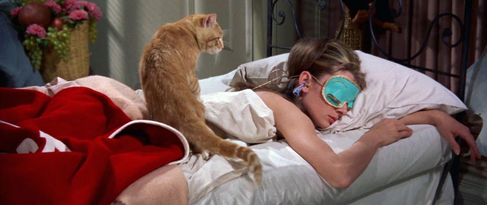 7 πράγματα που πρέπει να κάνει κάποιος πριν πάει για ύπνο [εικόνες] | iefimerida.gr 2