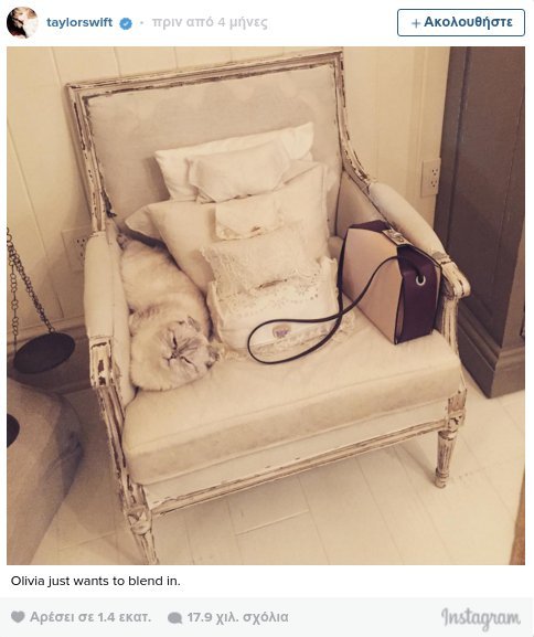 Οι γάτες της Τέιλορ Σουίφτ ζουν βασιλική ζωή [εικόνες & βίντεο] | iefimerida.gr 9