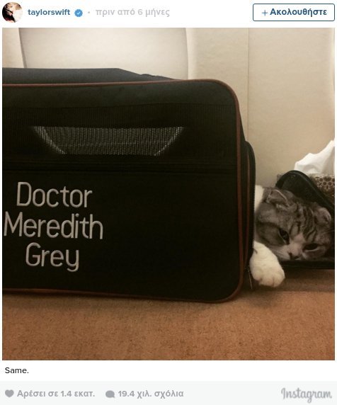 Οι γάτες της Τέιλορ Σουίφτ ζουν βασιλική ζωή [εικόνες & βίντεο] | iefimerida.gr 10