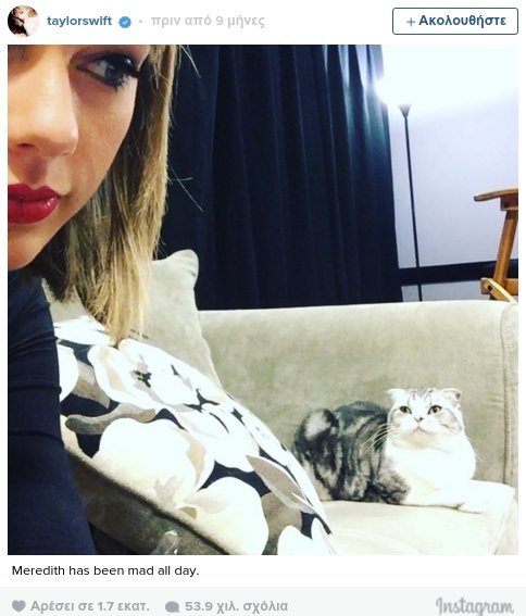 Οι γάτες της Τέιλορ Σουίφτ ζουν βασιλική ζωή [εικόνες & βίντεο] | iefimerida.gr 12