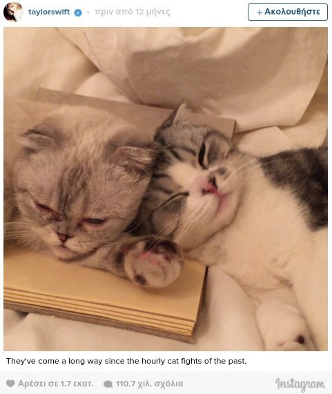 Οι γάτες της Τέιλορ Σουίφτ ζουν βασιλική ζωή [εικόνες & βίντεο] | iefimerida.gr 13