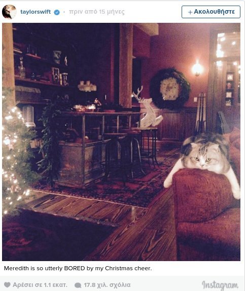 Οι γάτες της Τέιλορ Σουίφτ ζουν βασιλική ζωή [εικόνες & βίντεο] | iefimerida.gr 14