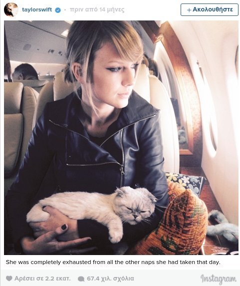 Οι γάτες της Τέιλορ Σουίφτ ζουν βασιλική ζωή [εικόνες & βίντεο] | iefimerida.gr 1