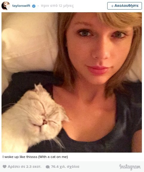 Οι γάτες της Τέιλορ Σουίφτ ζουν βασιλική ζωή [εικόνες & βίντεο] | iefimerida.gr 3