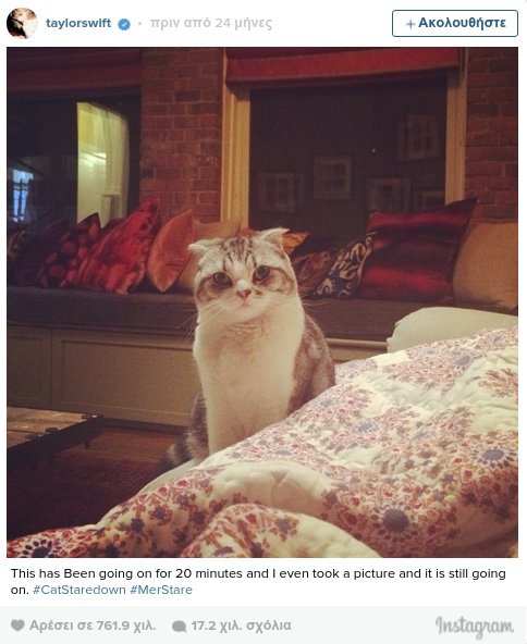 Οι γάτες της Τέιλορ Σουίφτ ζουν βασιλική ζωή [εικόνες & βίντεο] | iefimerida.gr 4