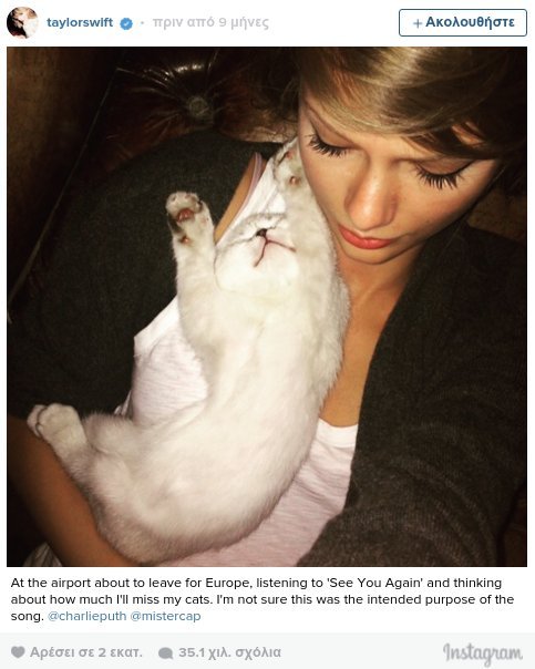 Οι γάτες της Τέιλορ Σουίφτ ζουν βασιλική ζωή [εικόνες & βίντεο] | iefimerida.gr 5