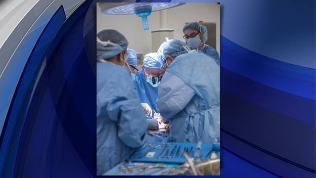 Ελληνας ο γιατρός που έκανε την πρώτη μεταμόσχευση μήτρας στην Αμερική [εικόνες] | iefimerida.gr 1
