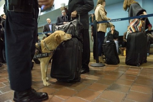 Βρυξέλλες: Χτύπησαν την πρωτεύουσα της Ευρώπης | iefimerida.gr 10