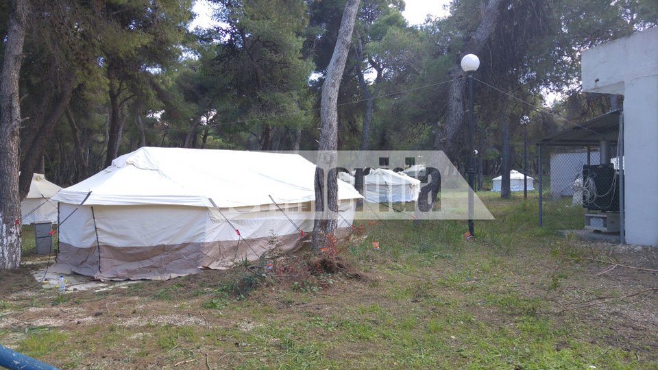 Ο Ψινάκης με μπότες και μπλέιζερ φτιάχνει κατασκήνωση για πρόσφυγες [εικόνες] | iefimerida.gr 14