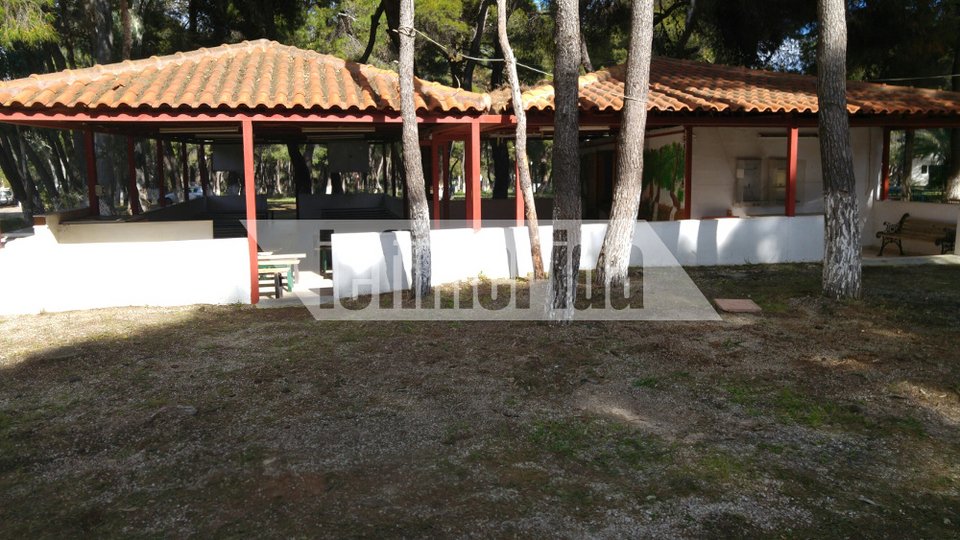 Ο Ψινάκης με μπότες και μπλέιζερ φτιάχνει κατασκήνωση για πρόσφυγες [εικόνες] | iefimerida.gr 16