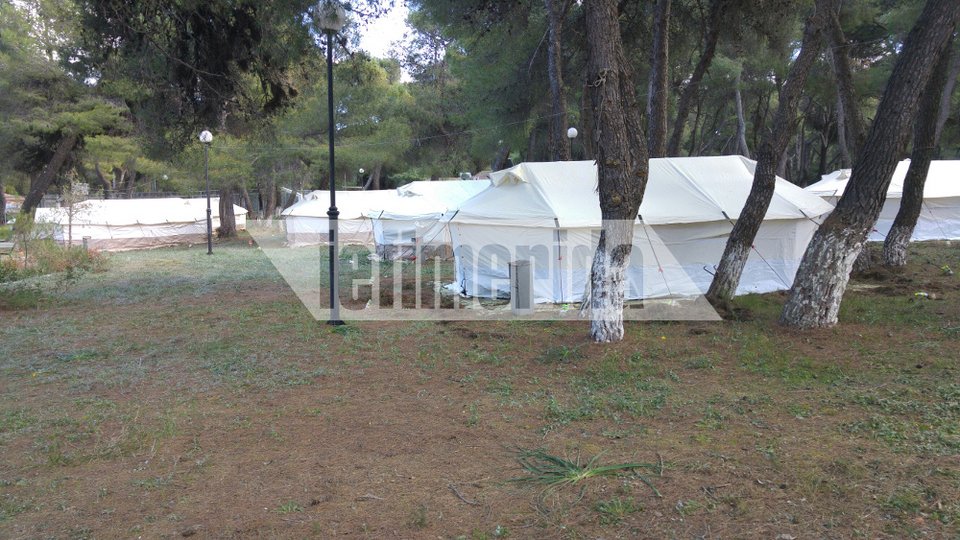 Ο Ψινάκης με μπότες και μπλέιζερ φτιάχνει κατασκήνωση για πρόσφυγες [εικόνες] | iefimerida.gr 15