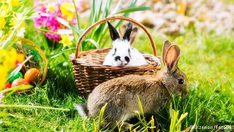 Πάσχα στην Ευρώπη: Θάβουν αβγά, τριγυρνάνε ξυπόλητοι και παίζουν μπουγέλο [εικόνες] | iefimerida.gr 0