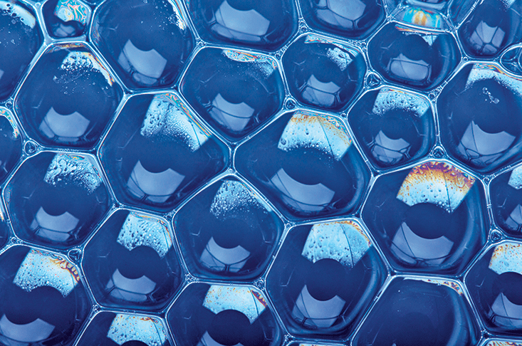 Γιατί η φύση «αγαπάει» τα εξάγωνα; Από τις κηρήθρες ως τη σύγχρονη αρχιτεκτονική [εικόνες] | iefimerida.gr 1