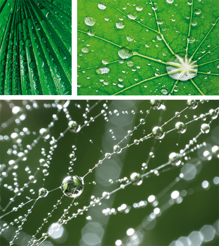 Γιατί η φύση «αγαπάει» τα εξάγωνα; Από τις κηρήθρες ως τη σύγχρονη αρχιτεκτονική [εικόνες] | iefimerida.gr 3