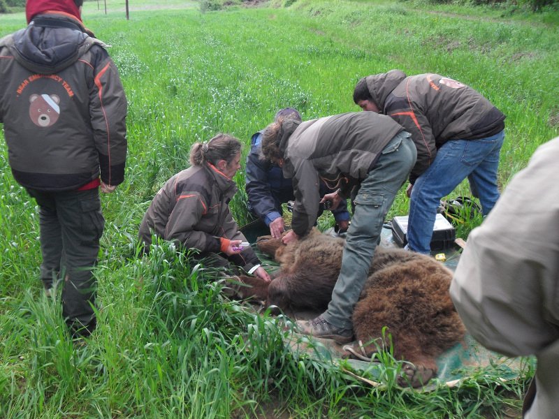 Τρεις ελληνικές υποψηφιότητες στους φιναλίστ των βραβείων Natura για το 2016 [εικόνες] | iefimerida.gr 1