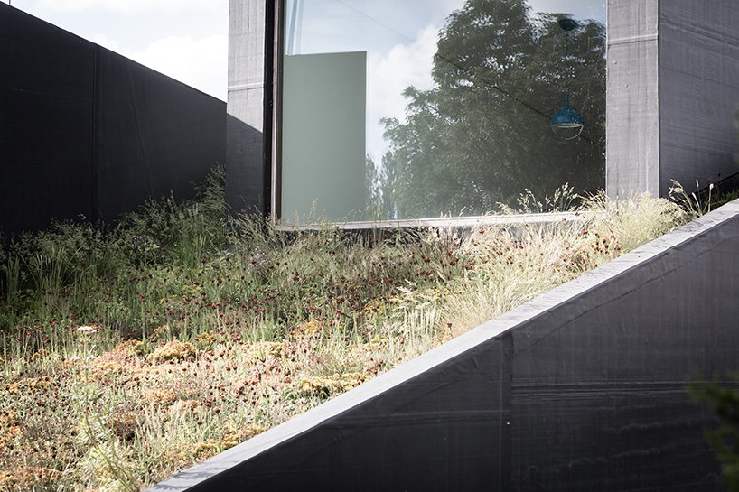 Ενα μοντέρνο σπίτι που ξεπετάγεται μέσα από το έδαφος [εικόνες] | iefimerida.gr 2