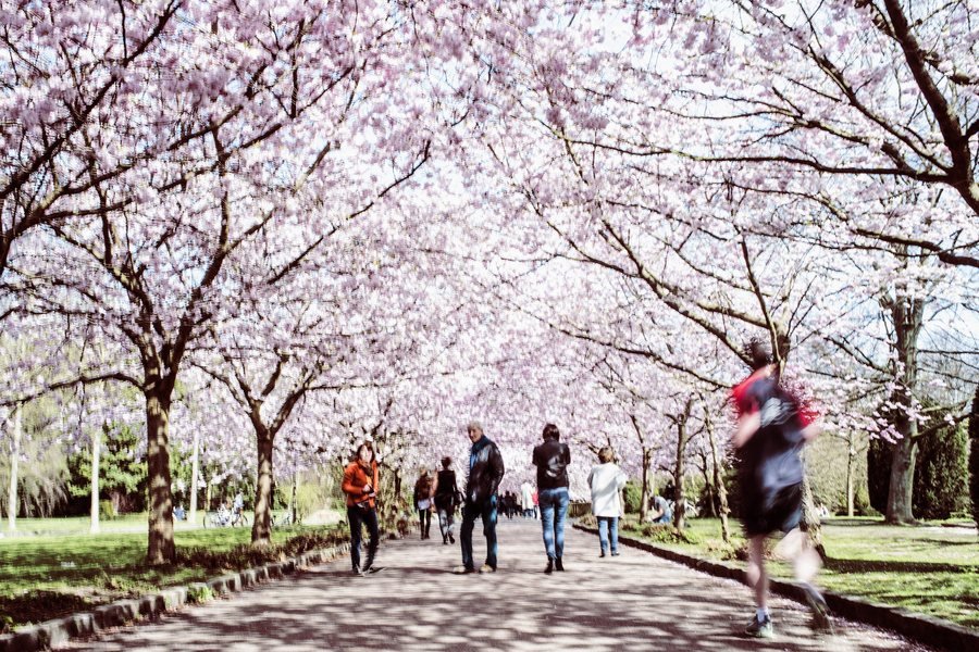 Οι 10 χώρες με το καλύτερο βιοτικό επίπεδο στην Ευρώπη [εικόνες&λίστα] | iefimerida.gr 1