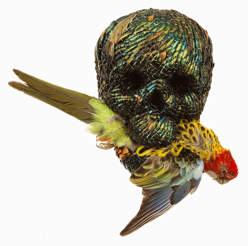 Ποιος είναι ο Γιαν Φαμπρ, ο σκηνοθέτης με τα «παλλόμενα πέη» -Πήγαν να τον δείρουν στο Βέλγιο [εικόνες] | iefimerida.gr 5